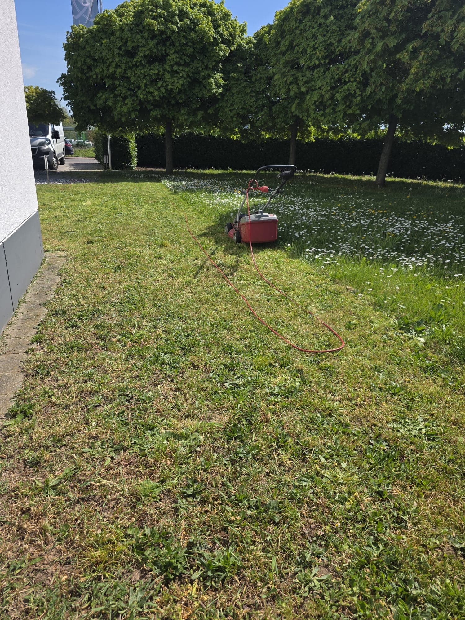 Rasen & Gartenanlage – nachher