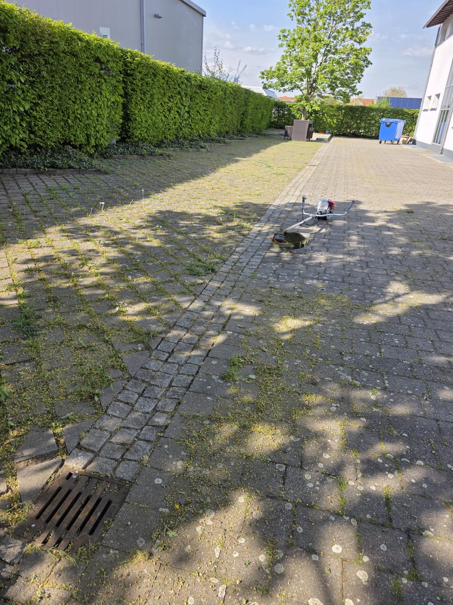 Pflasterflächen – nachher
